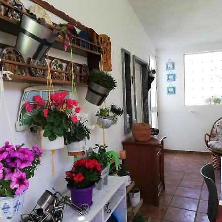 Pensionat Moradia No Seixal 4*