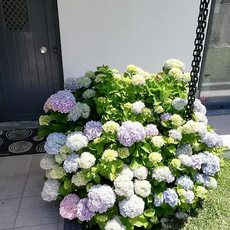 Moradia No Seixal בית הארחה אריסרייה