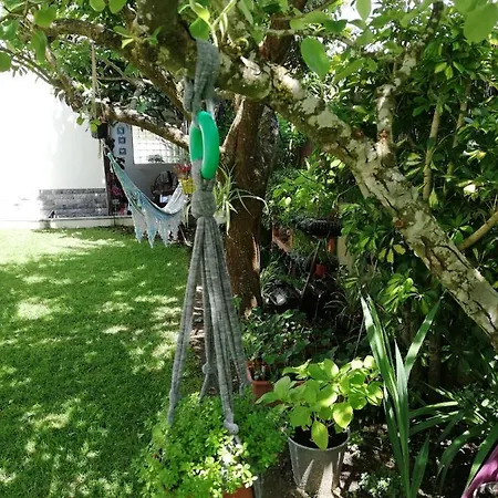 בית הארחה Moradia No Seixal